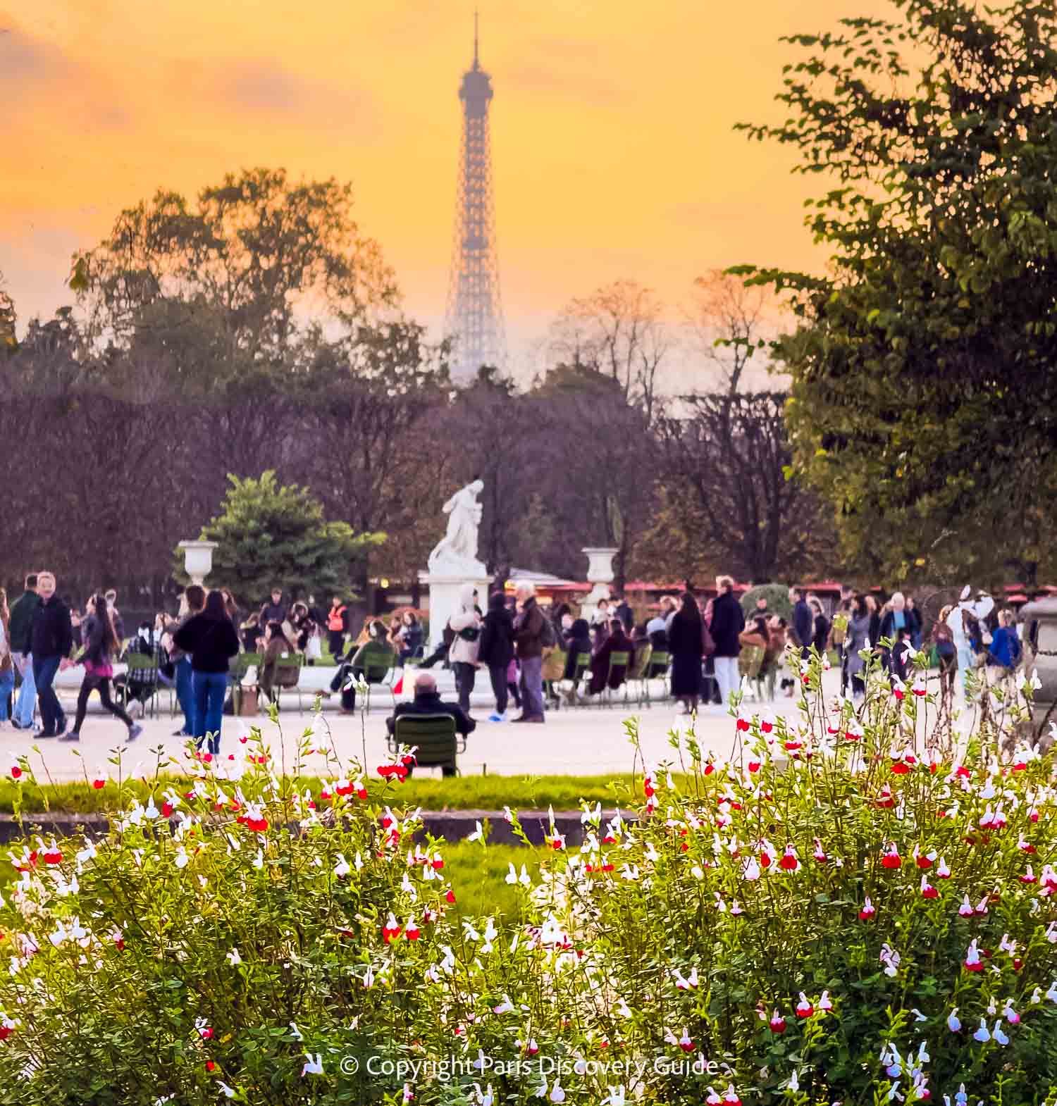 Flowers still blooming in Tuileries Garden in early November Flowers still blooming in Tuileries Garden in early November