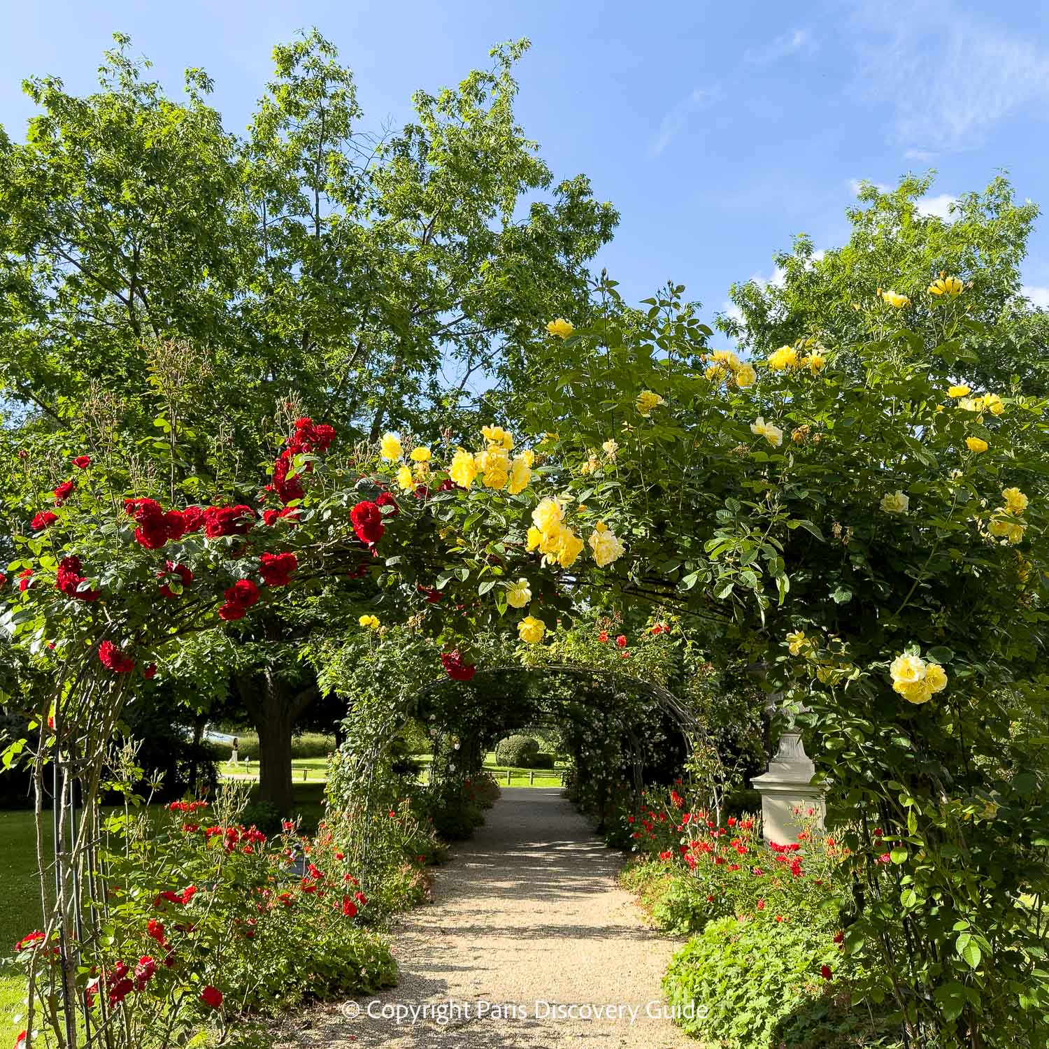 A rose arbor on the grounds of the Waldorf Astorial Versailles