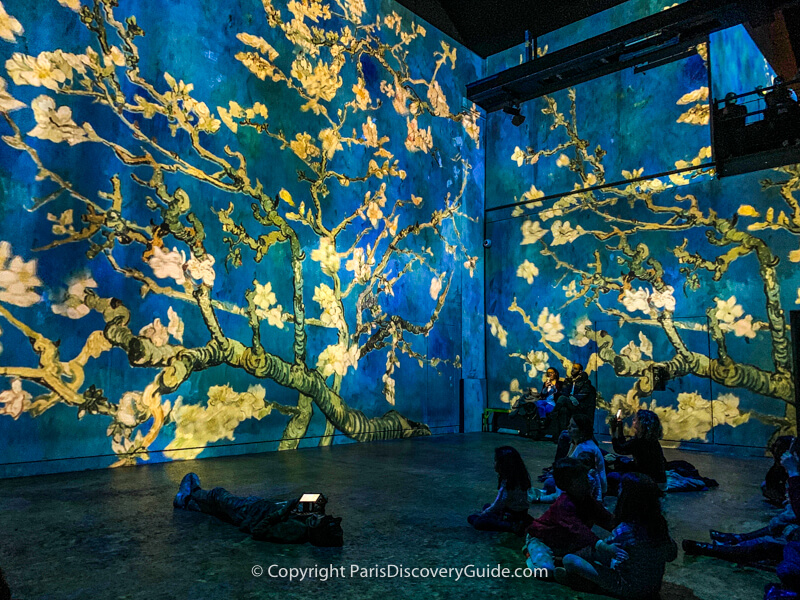 Atelier des Lumieres show on Van Gogh - Paris