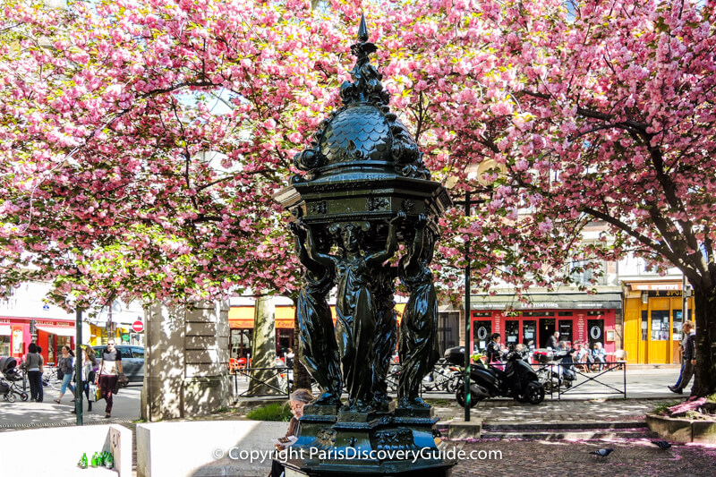 Cherry trees blooming by a Wallace Fountain in the 15th arrondissement in Paris Cherry trees blooming by a Wallace Fountain in the 15th arrondissement in Paris
