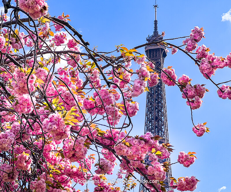 The Eiffel Tower seen from a Seine River cruise boat