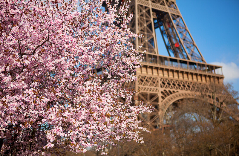 Weather in Paris in April What to Expect and Packing Tips