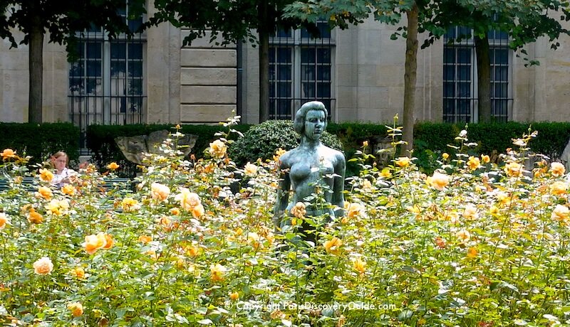 Rose garden in the Marais neighborhood in August at about 8pm