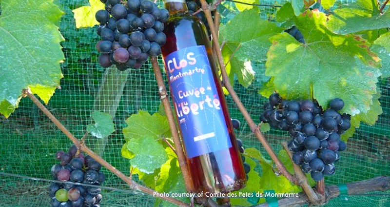 Each year, a different local artist designs the "Clos Montmartre" wine bottle labels Each year, a different local artist designs the "Clos Montmartre" wine bottle labels