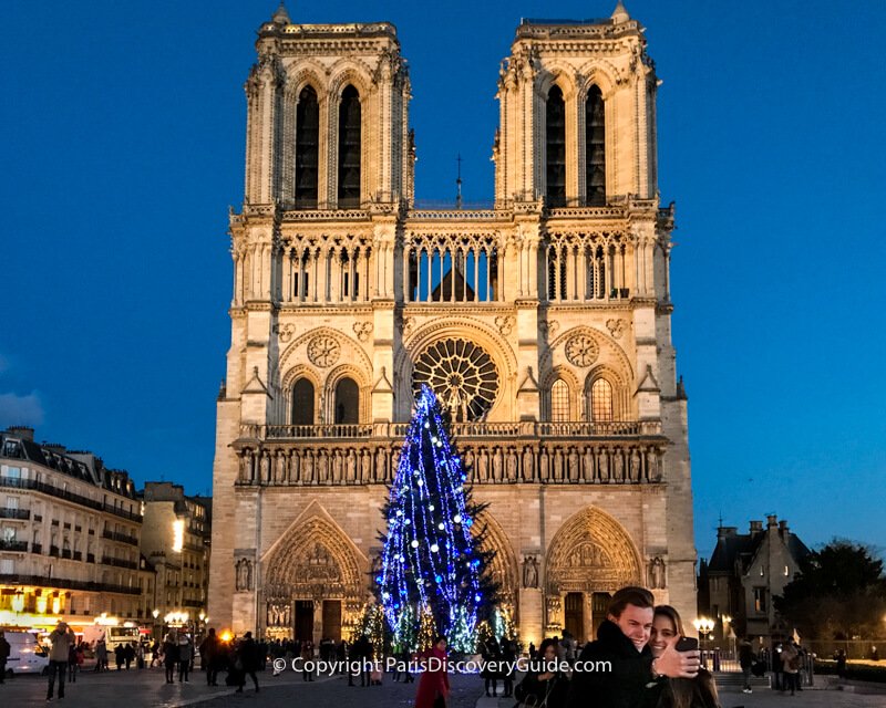 Notre Dame's Christmas Tree 
