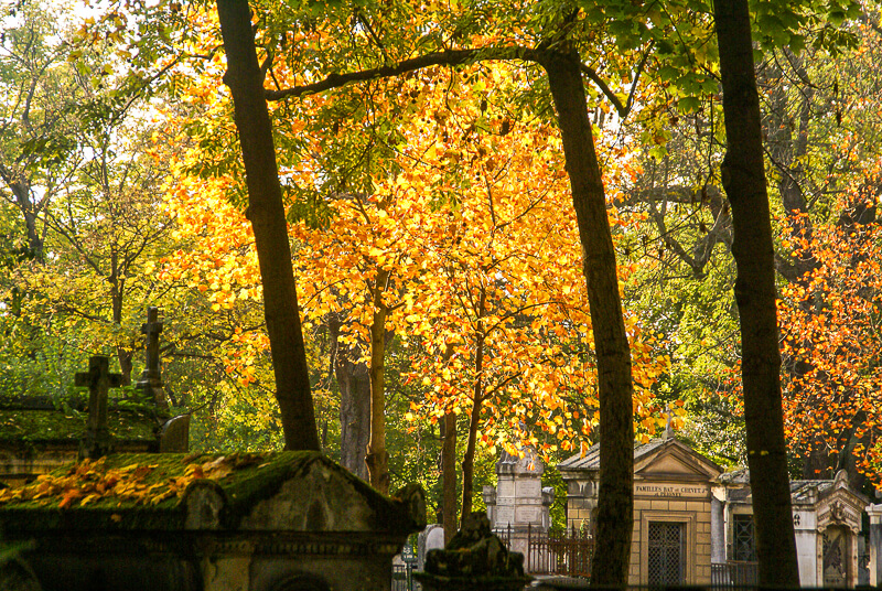 Pere Lachaise Cemetery in autumn - Photo credit: David Baron Pere Lachaise Cemetery in autumn - Photo credit: David Baron