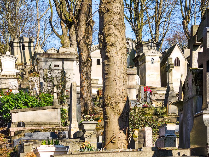 Pere Lachaise Cemetery in February