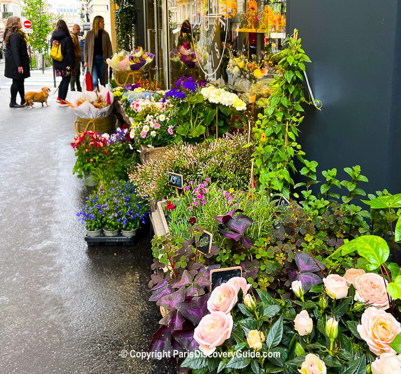 Flower market on Rue des Martyrs near Hotel Bienvenue on a rainy day