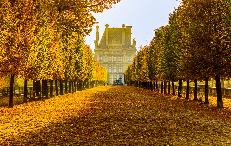 Golden fall foliage in Tuileries Garden in October- Photo credit: AdobeStock/P.E.Faivre