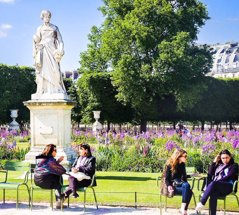 Purple flowers blooming in May at Tuileries Garden by the Musée de Louvre