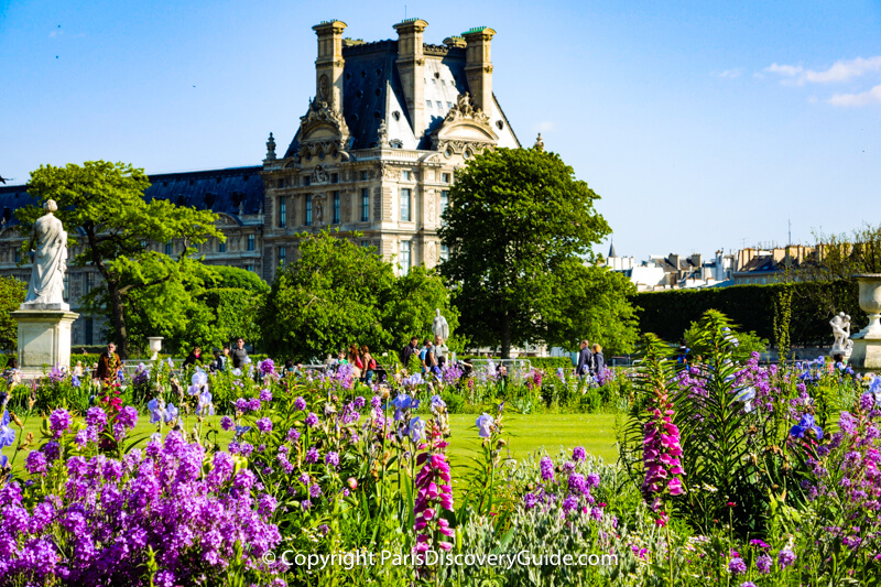 May flowers blooming in Tuileries Garden May flowers blooming in Tuileries Garden