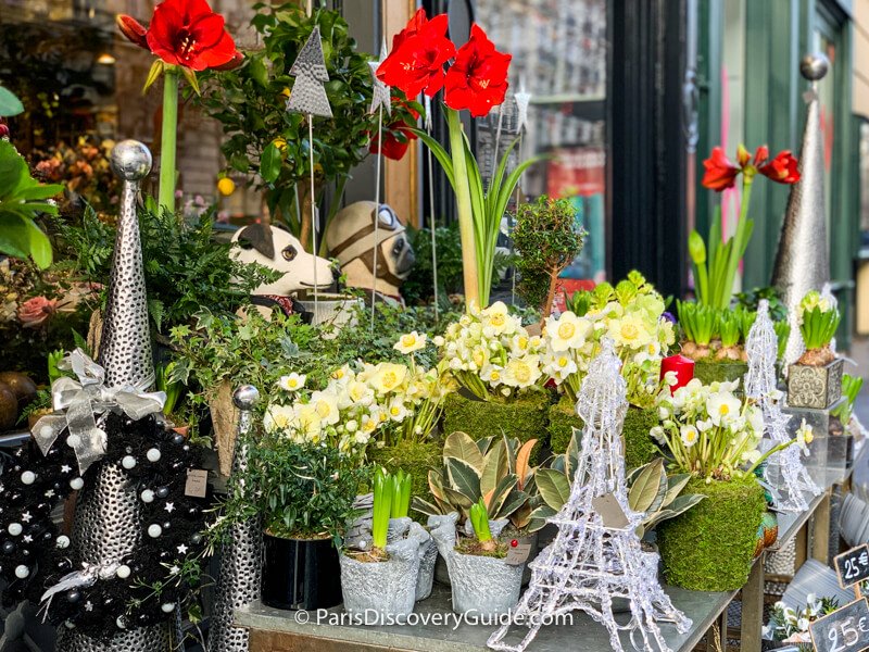 Christmas flowers in front of a flower shop on Rue du Bac in Saint-Germain