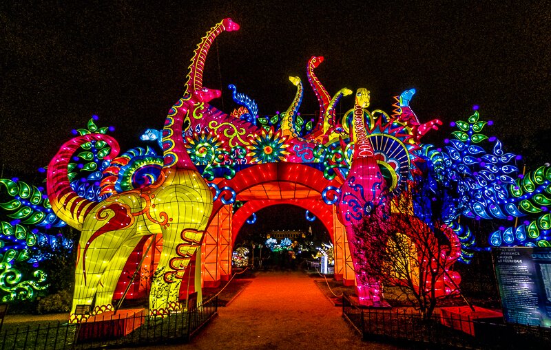 Brightly lighted dinosaurs flank the entrance to the Light Festival at Paris's Botanical Garden