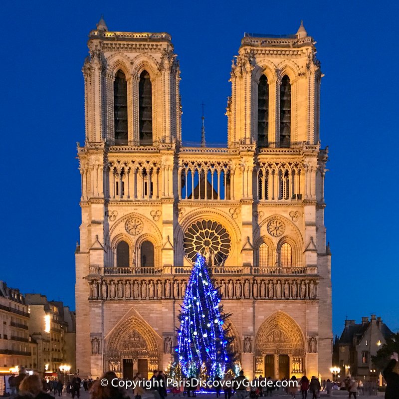Giant Christmas tree in front of Notre Dame Cathedral