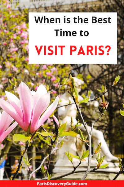 Magnolias in bloom in Palais Royal Garden in Paris