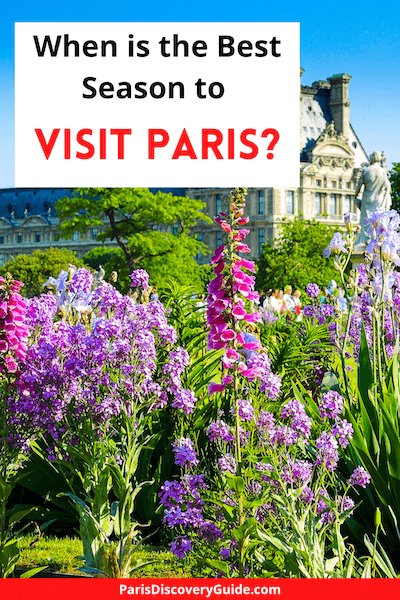 Summer flowers in Tuileries Garden near the Louvre in Paris